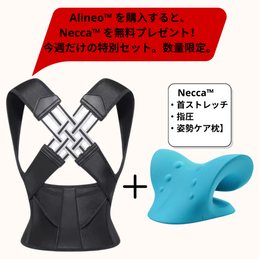 Alineo™ アリネオ 【肩腰ケア・肩開き・快適サポート】