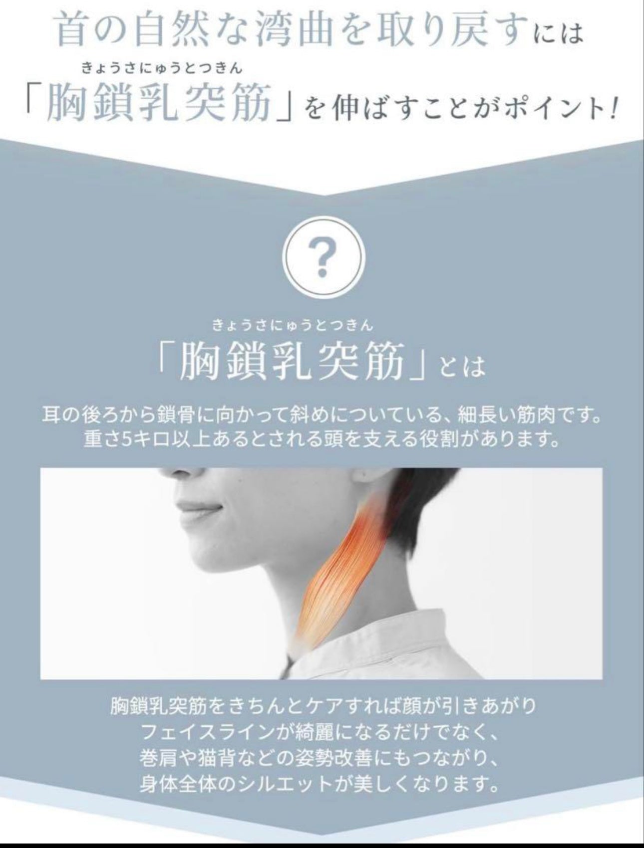 Necca™ ネッカ 【首ストレッチ・指圧・姿勢ケア枕】